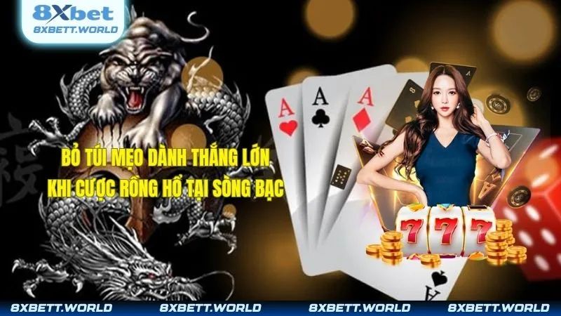 Bỏ túi mẹo dành thắng lớn khi cược rồng hổ tại sòng bạc.