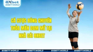 Cá Cược Bóng Chuyền