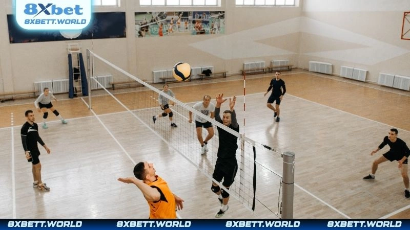 Luật chơi cá cược bóng chuyền và một số dạng kèo phổ biến