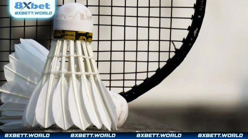  Những ưu điểm nổi bật khi tham gia cá cược cầu lông tại 8XBET
