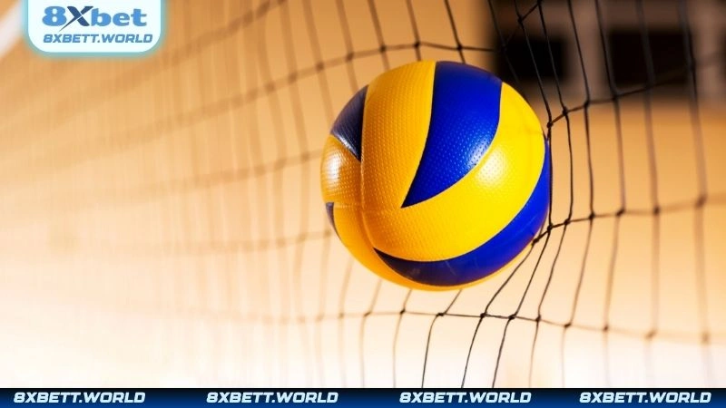 Vì sao nên chọn cá cược bóng chuyền tại 8XBET?